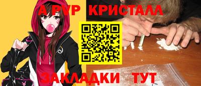 кокс Гатчина